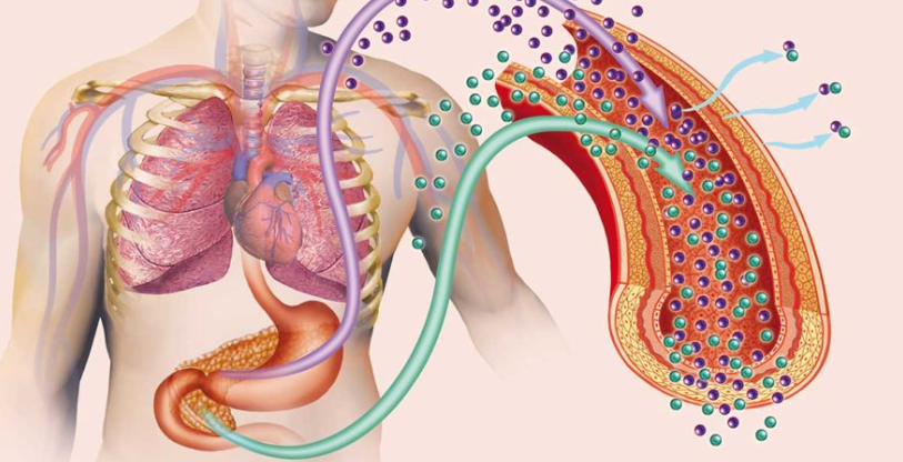 درمان مقاومت به انسولین، علائم مقاومت به انسولین، رژیم غذایی مقاومت به انسولین، ورزش برای مقاومت به انسولین، متفورمین، پیشگیری از مقاومت به انسولین، کاهش قند خون