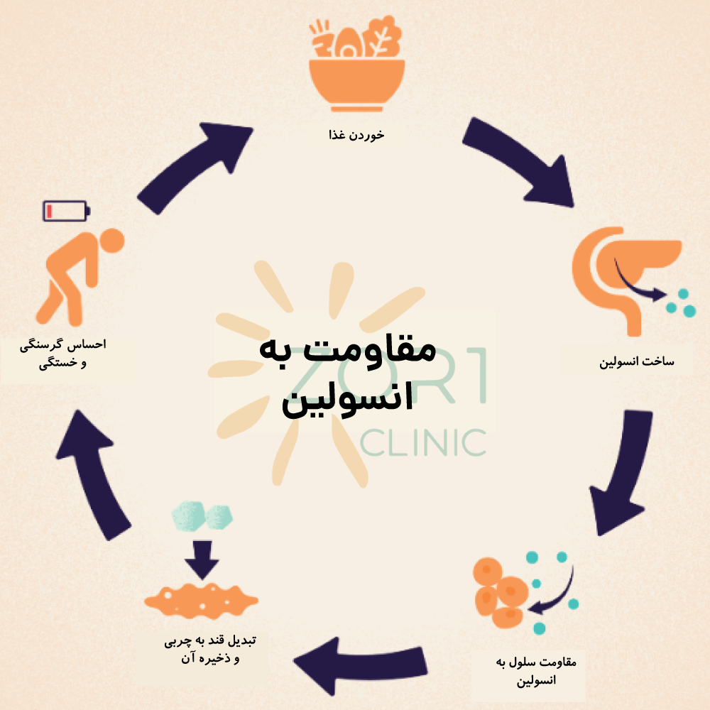 درمان مقاومت به انسولین، علائم مقاومت به انسولین، رژیم غذایی مقاومت به انسولین، ورزش برای مقاومت به انسولین، متفورمین، پیشگیری از مقاومت به انسولین، کاهش قند خون