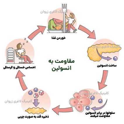 مقاومت به انسولین، انسولین و مقاومت به آن، مقاومت انسولینی و افزایش وزن، مقاومت به انسولین چیست، عوامل ایجاد مقاومت به انسولین، تاثیر رژیم غذایی بر مقاومت انسولینی، چگونه مقاومت به انسولین را کاهش دهیم،کلینیک زروان ، غرب تهران، 66921615 ، دکتر تغذیه