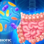 تأثیر پروبیوتیک‌ها بر لاغری و کاهش وزن: چگونه باکتری‌های مفید به چربی‌سوزی کمک می‌کنند