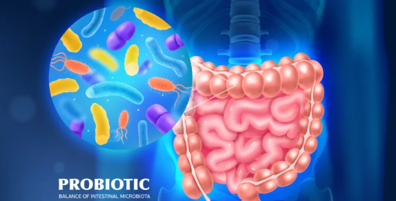 پروبیوتیک برای لاغری، تاثیر پروبیوتیک بر کاهش وزن، مکمل پروبیوتیک، باکتری مفید روده، لاغری با پروبیوتیک، پروبیوتیک چیست، چربی سوز طبیعی، کاهش چربی شکم، بهترین پروبیوتیک برای لاغری، سلامتی روده و وزن، میکروبیوم روده، رژیم لاغری و پروبیوتیک، راهکار لاغری طبیعی، مکمل کاهش وزن، مواد غذایی پروبیوتیک‌دار