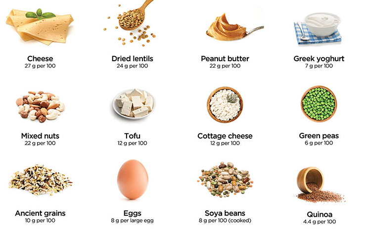 رژیم پرپروتئینی، فیبر رژیمی، پروبیوتیک، پریبیوتیک، سینبیوتیک، سلامت روده، لاغری با پروتئین، فواید پروبیوتیک، رژیم غذایی متعادل، میکروبیوم روده، تغذیه سالم