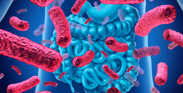 پروبیوتیک برای لاغری، تاثیر پروبیوتیک بر کاهش وزن، مکمل پروبیوتیک، باکتری مفید روده، لاغری با پروبیوتیک، پروبیوتیک چیست، چربی سوز طبیعی، کاهش چربی شکم، بهترین پروبیوتیک برای لاغری، سلامتی روده و وزن، میکروبیوم روده، رژیم لاغری و پروبیوتیک، راهکار لاغری طبیعی، مکمل کاهش وزن، مواد غذایی پروبیوتیکدار