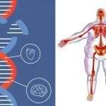 چاقی ژنتیکی چیست؟