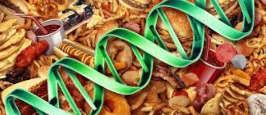 چاقی ژنتیکی، چاقی ارثی، علت چاقی ژنتیکی، درمان چاقی ارثی، ژن FTO، نقش ژنتیک در چاقی، رژیم برای چاقی ژنتیکی، کنترل وزن ارثی، علت چاق شدن سریع، چاقی مقاوم به رژیم