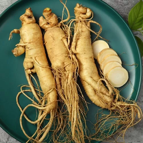 جینسینگ، جینسینگ و لاغری، کاهش کورتیزول با جینسینگ، کاهش استرس، جینسینگ برای کاهش وزن، چربی‌سوزی شکم، جینسینگ اصل، فواید جینسینگ، تاثیر جینسینگ بر لاغری ، خواص جینسینگ، جینسینگ