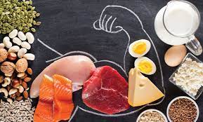 پروتئین چاق میکند، پروتئین بدنسازی چاق میکند، پروتئین چاق کننده است، تبدیل پروتئین به چربی، پروتئین و لاغری، پروتئین و چاقی، پروتئین برای کاهش وزن، پروتئین وی چاق کننده است