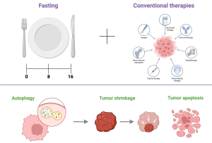 روزه متناوب ،لاغری سریع، بهترین روش لاغری، لاغری سریع شکم و پهلو در یک ماه، لاغری با دستگاه، لاغری با اراف، لاغری با کویتیشن، لاغری با ای ام اسکالپت، کاهش وزن سریع، آب کردن شکم و پهلو در یک ماه