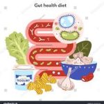 چه غذاهایی برای سلامت روده خوب هستند؟ | رژیم ضد التهاب و تقویت روده