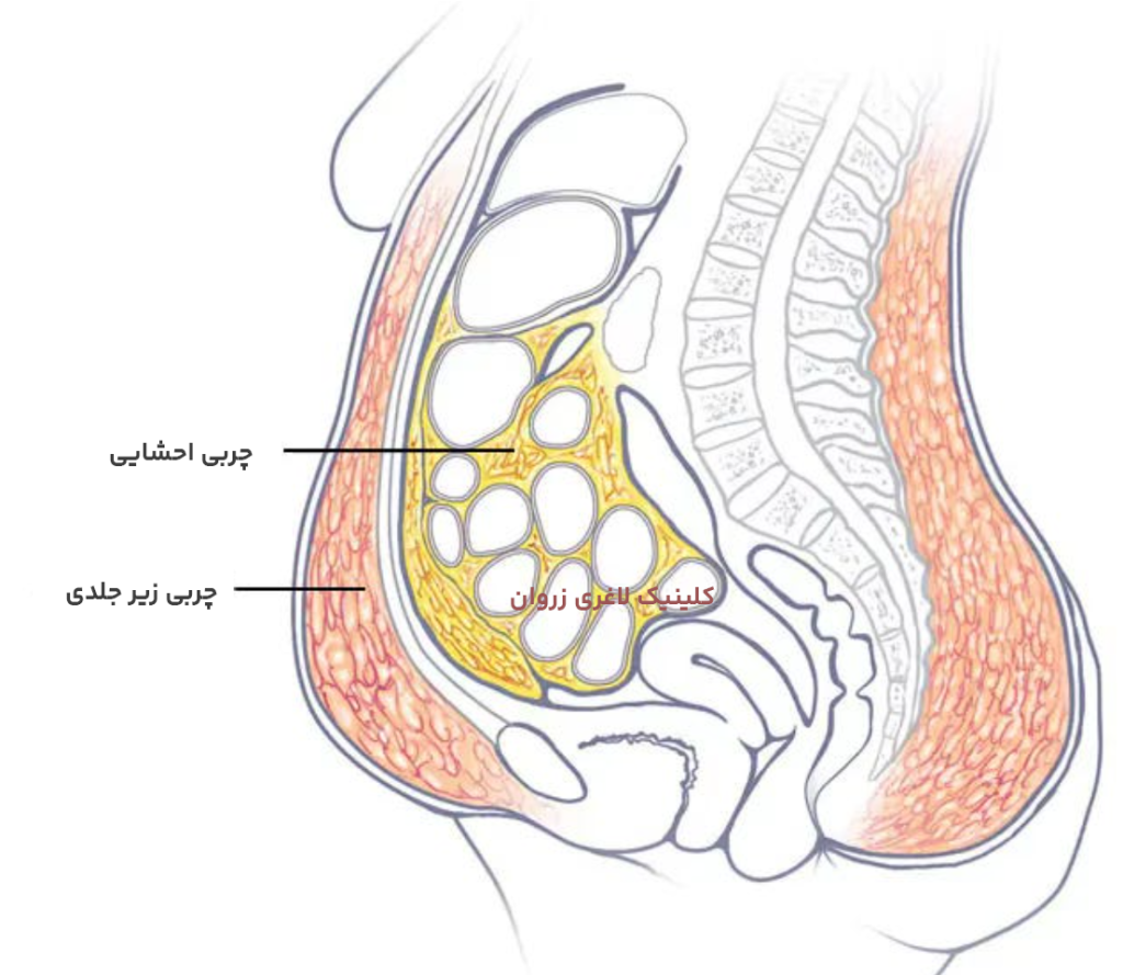 یائسگی و چاقی، کاهش وزن در یائسگی، لاغری در دوران یائسگی، رژیم غذایی در یائسگی، جلوگیری از چاقی شکمی، گرگرفتگی یائسگی و لاغری، ورزش مناسب یائسگی، چربی شکمی بعد از یائسگی