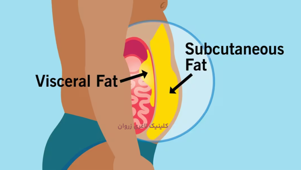 خوراکی برای یائسگی و چاقی، کاهش وزن در یائسگی، لاغری در دوران یائسگی، رژیم غذایی در یائسگی، جلوگیری از چاقی شکمی، گرگرفتگی یائسگی و لاغری، ورزش مناسب یائسگی، چربی شکمی بعد از یائسگی، رژیم مدیترانه