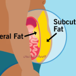 آیا یائسگی باعث چاقی می‌شود؟ راهنمای کامل کاهش وزن، رژیم غذایی و ورزش در دوران یائسگی