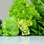 رژیم لاغری با سبزیجات؛ راهی سالم، اصولی و ماندگار برای کاهش وزن
