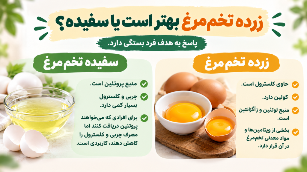زرده تخم مرغ، سفیده تخم مرغ، زرده یا سفیده تخم مرغ، مقایسه زرده و سفیده، خواص زرده تخم مرغ، خواص سفیده تخم مرغ، ارزش غذایی تخم مرغ، پروتئین تخم مرغ، کلسترول تخم مرغ، لوتئین و زآگزانتین تخم مرغ