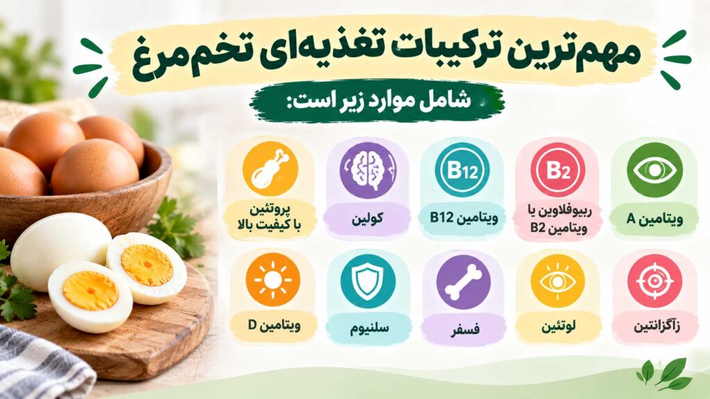 زرده تخم مرغ، سفیده تخم مرغ، زرده یا سفیده تخم مرغ، مقایسه زرده و سفیده، خواص زرده تخم مرغ، خواص سفیده تخم مرغ، ارزش غذایی تخم مرغ، پروتئین تخم مرغ، کلسترول تخم مرغ، لوتئین و زآگزانتین تخم مرغ
