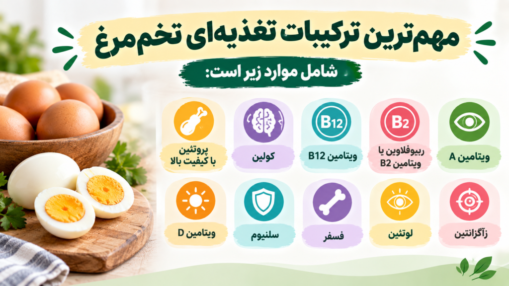 زرده تخم مرغ، سفیده تخم مرغ، زرده یا سفیده تخم مرغ، مقایسه زرده و سفیده، خواص زرده تخم مرغ، خواص سفیده تخم مرغ، ارزش غذایی تخم مرغ، پروتئین تخم مرغ، کلسترول تخم مرغ، لوتئین و زآگزانتین تخم مرغ