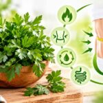 خواص جعفری برای لاغری؛ روش مصرف و تأثیر آن بر کاهش وزن